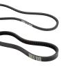 image10L0L Clutch Drive Belt ampamp Starter Generator Belt Kit for Club Car DS 1997up Club Car Precedent 2004up Gas Golf Cart Replace OEM 101916701 1016203