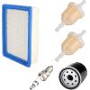 image10L0L Golf Cart Tune Up Kit for Club Car DS 1992up Gas Carts with FE290 FE350 Engines Air Oil Fuel Filter 1015426 1016467 41016467 1013684 1014522 102003201 Spark Plug
