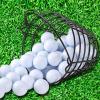 image10L0L Metal Range Golf Ball Baskets with Handle Golf Ball Storage Bucket Holds 50 Balls Each GolfBalls Not Included2PCS Black