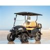 imageIQ High Speed Golf Cart Magnet for Club Car DSPrecedentTempo Speed Sensor 48V Electric Golf Cart
